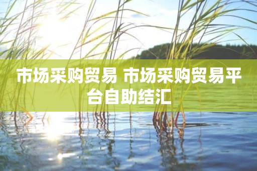 市场采购贸易 市场采购贸易平台自助结汇