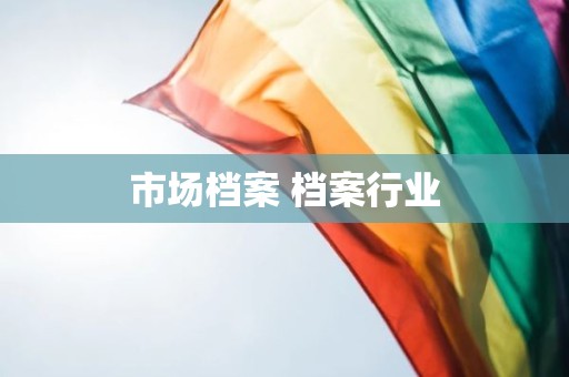 市场档案 档案行业