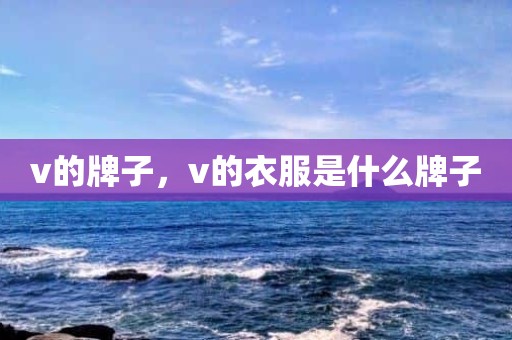 v的牌子，v的衣服是什么牌子