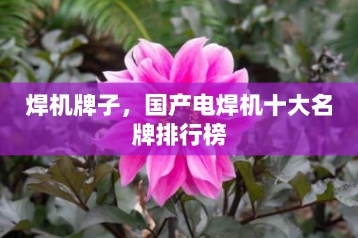 焊机牌子，国产电焊机十大名牌排行榜