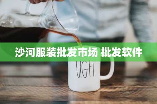 沙河服装批发市场 批发软件