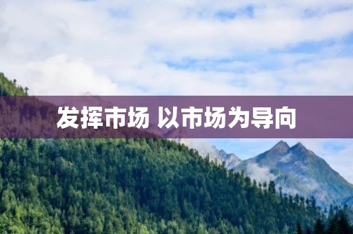 发挥市场 以市场为导向