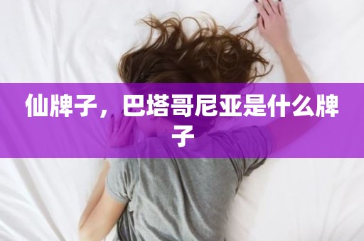 仙牌子，巴塔哥尼亚是什么牌子