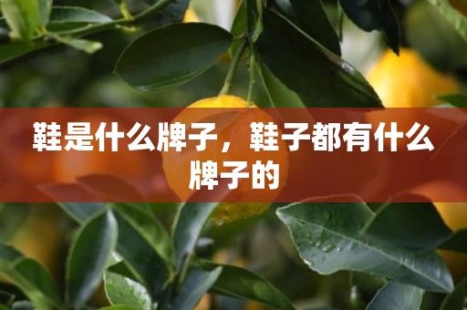鞋是什么牌子，鞋子都有什么牌子的