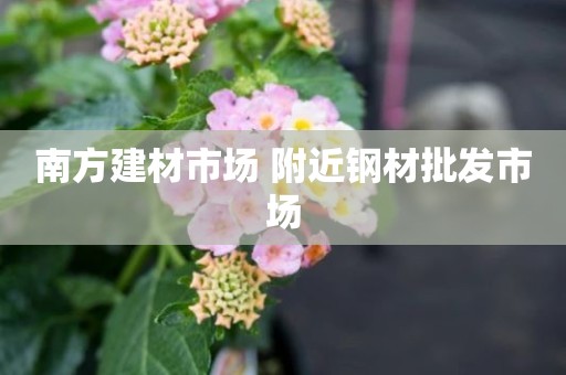 南方建材市场 附近钢材批发市场