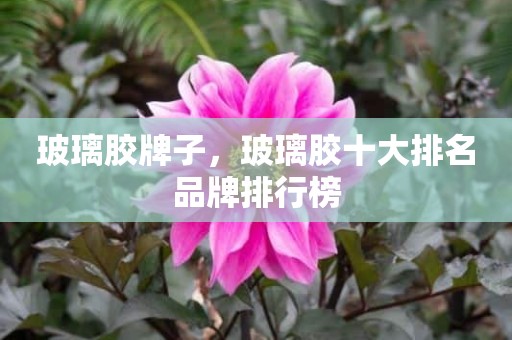 玻璃胶牌子，玻璃胶十大排名品牌排行榜