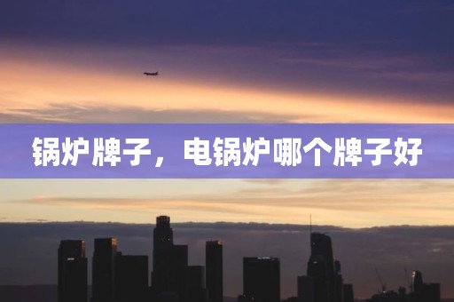 锅炉牌子，电锅炉哪个牌子好