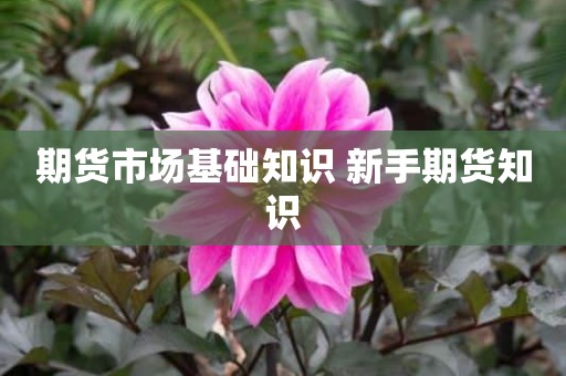 期货市场基础知识 新手期货知识