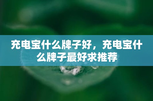 充电宝什么牌子好，充电宝什么牌子最好求推荐