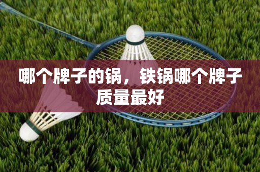 哪个牌子的锅，铁锅哪个牌子质量最好