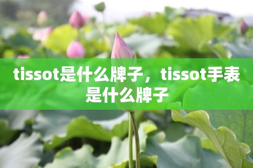tissot是什么牌子，tissot手表是什么牌子