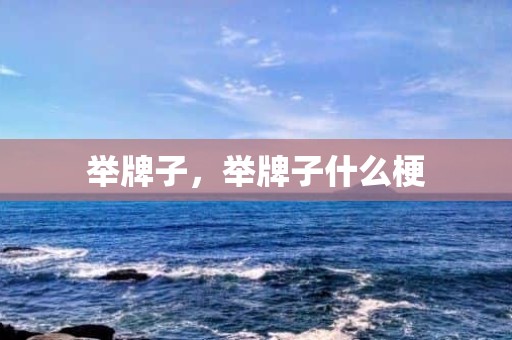 举牌子，举牌子什么梗