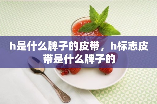 h是什么牌子的皮带，h标志皮带是什么牌子的