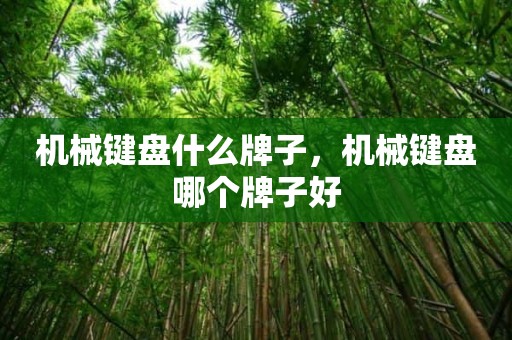机械键盘什么牌子，机械键盘哪个牌子好
