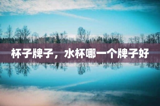 杯子牌子，水杯哪一个牌子好