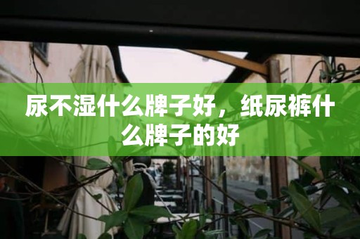 尿不湿什么牌子好，纸尿裤什么牌子的好