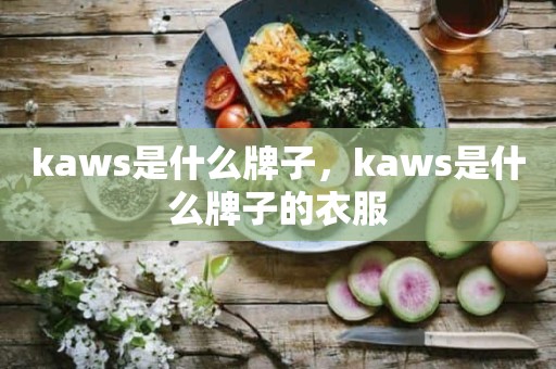 kaws是什么牌子，kaws是什么牌子的衣服