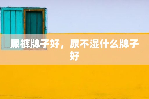 尿裤牌子好，尿不湿什么牌子好