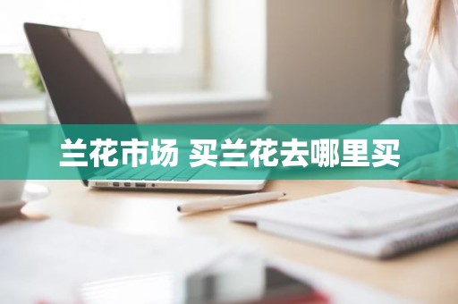 兰花市场 买兰花去哪里买