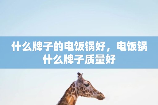 什么牌子的电饭锅好，电饭锅什么牌子质量好