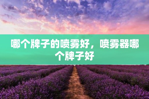 哪个牌子的喷雾好，喷雾器哪个牌子好