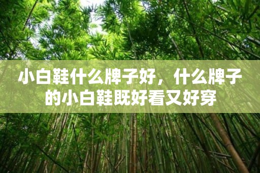 小白鞋什么牌子好，什么牌子的小白鞋既好看又好穿