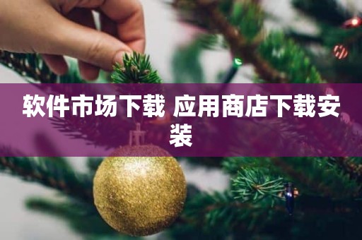 软件市场下载 应用商店下载安装
