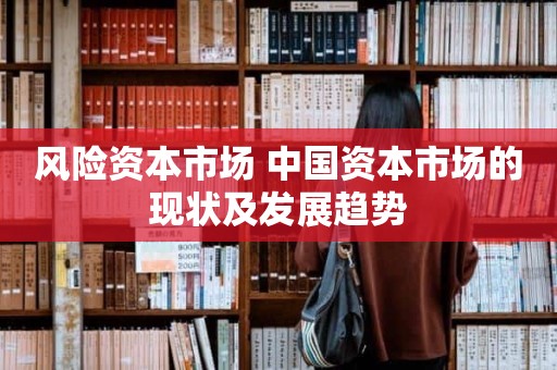 风险资本市场 中国资本市场的现状及发展趋势
