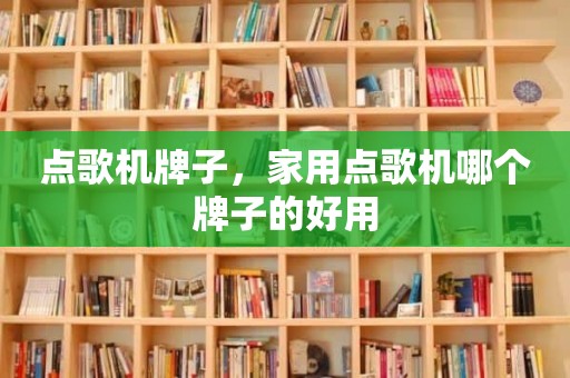 点歌机牌子，家用点歌机哪个牌子的好用