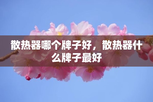 散热器哪个牌子好，散热器什么牌子最好
