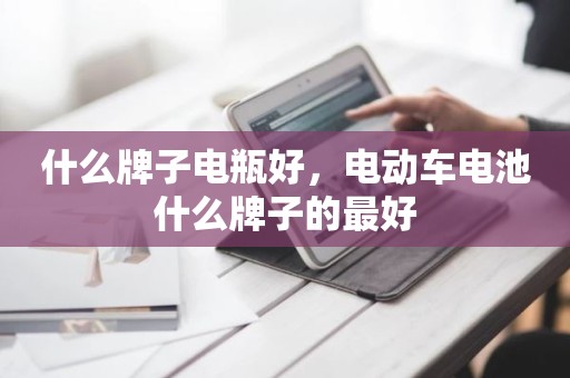 什么牌子电瓶好，电动车电池什么牌子的最好