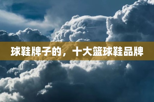 球鞋牌子的，十大篮球鞋品牌