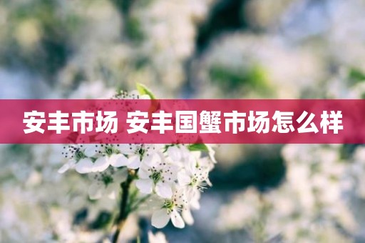 安丰市场 安丰国蟹市场怎么样