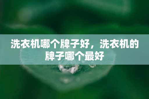 洗衣机哪个牌子好，洗衣机的牌子哪个最好