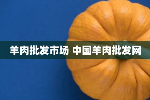 羊肉批发市场 中国羊肉批发网