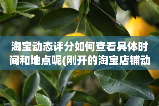 淘宝动态评分如何查看具体时间和地点呢(刚开的淘宝店铺动态评分什么时候开始显示)