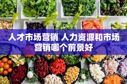 人才市场营销 人力资源和市场营销哪个前景好