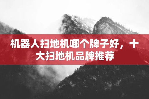 机器人扫地机哪个牌子好，十大扫地机品牌推荐