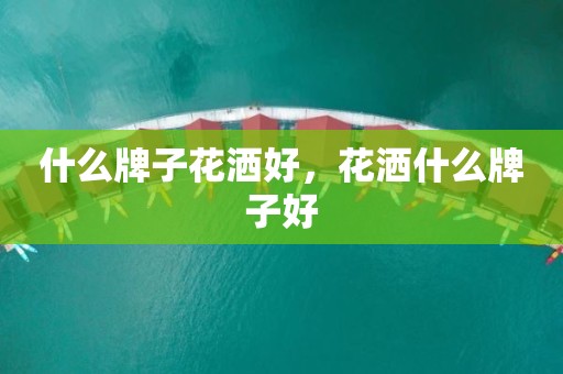 什么牌子花洒好，花洒什么牌子好
