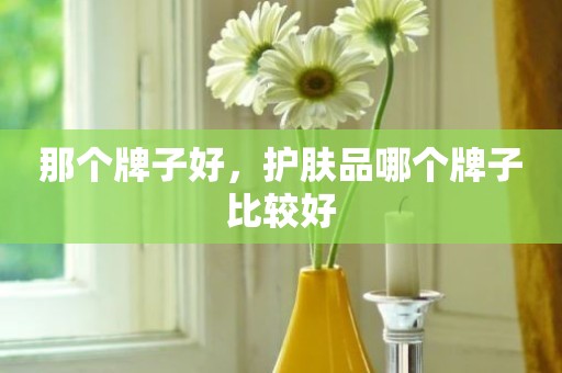 那个牌子好，护肤品哪个牌子比较好