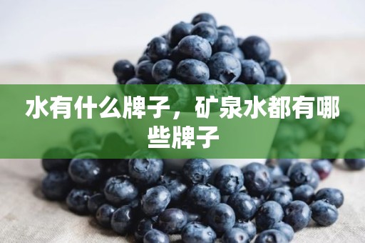 水有什么牌子，矿泉水都有哪些牌子