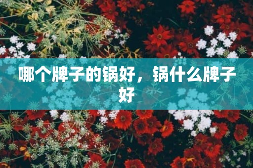 哪个牌子的锅好，锅什么牌子好