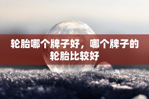 轮胎哪个牌子好，哪个牌子的轮胎比较好