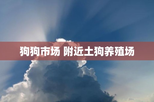 狗狗市场 附近土狗养殖场