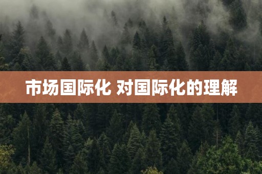市场国际化 对国际化的理解