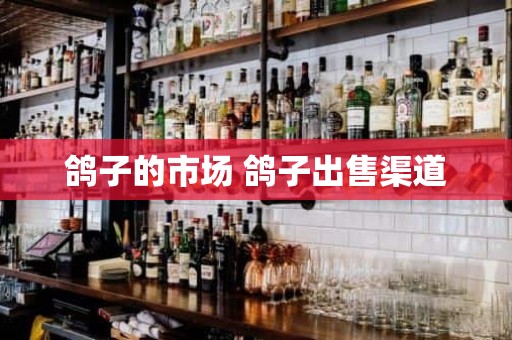 鸽子的市场 鸽子出售渠道