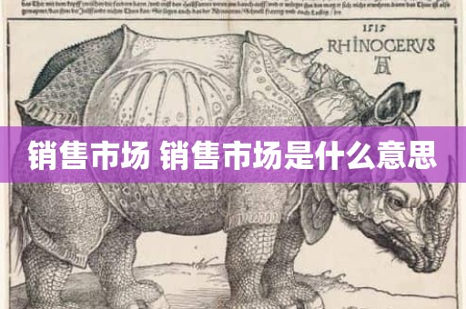 销售市场 销售市场是什么意思