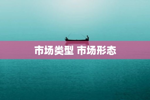 市场类型 市场形态