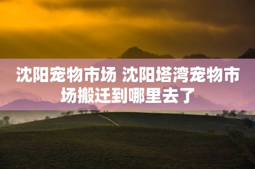 沈阳宠物市场 沈阳塔湾宠物市场搬迁到哪里去了