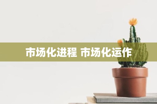 市场化进程 市场化运作
